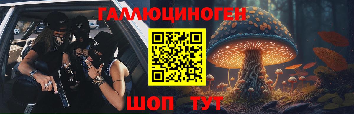 Галлюциногенные грибы Cubensis  Псилоцибиновые грибы мицелий  Вход с VPN  Усть-Джегута 